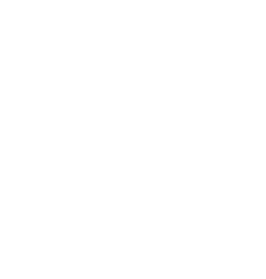 NextLevel logosu